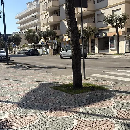 6 Apartamento Bolonia